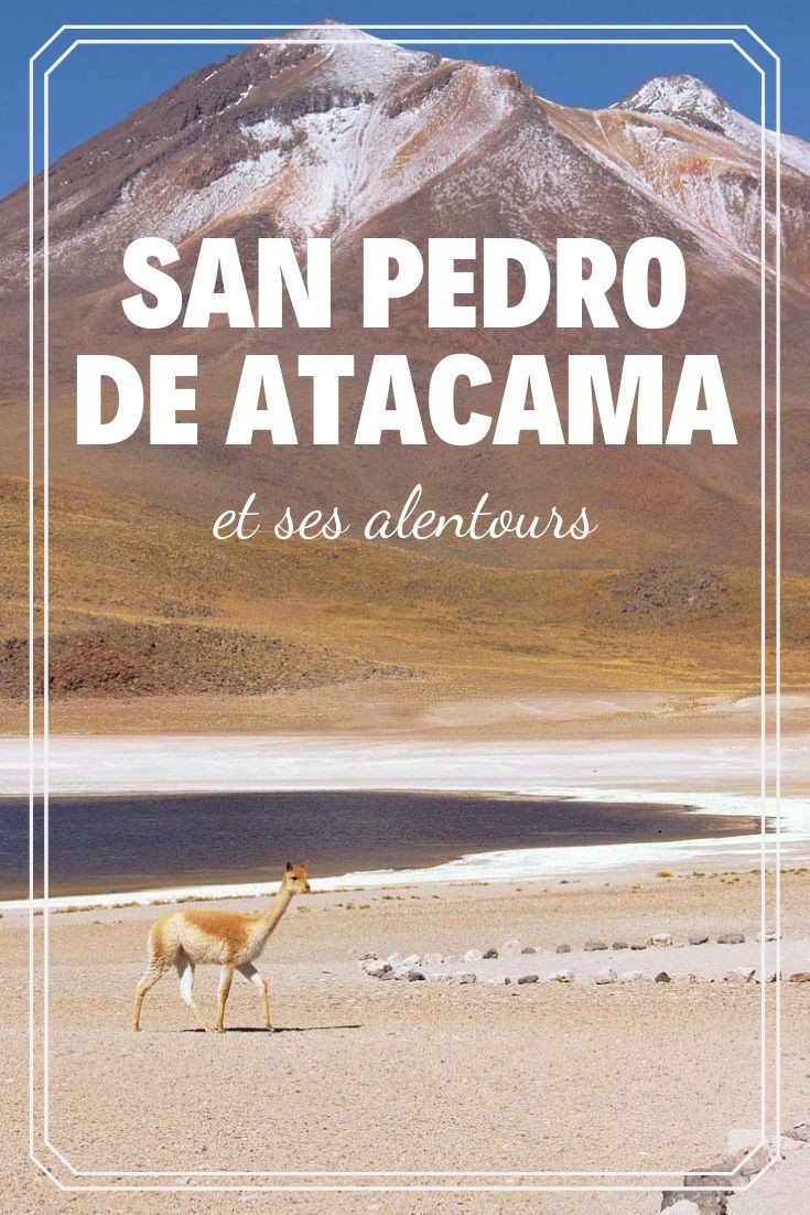 Chili : Les merveilles de la région de San Pedro de Atacama 