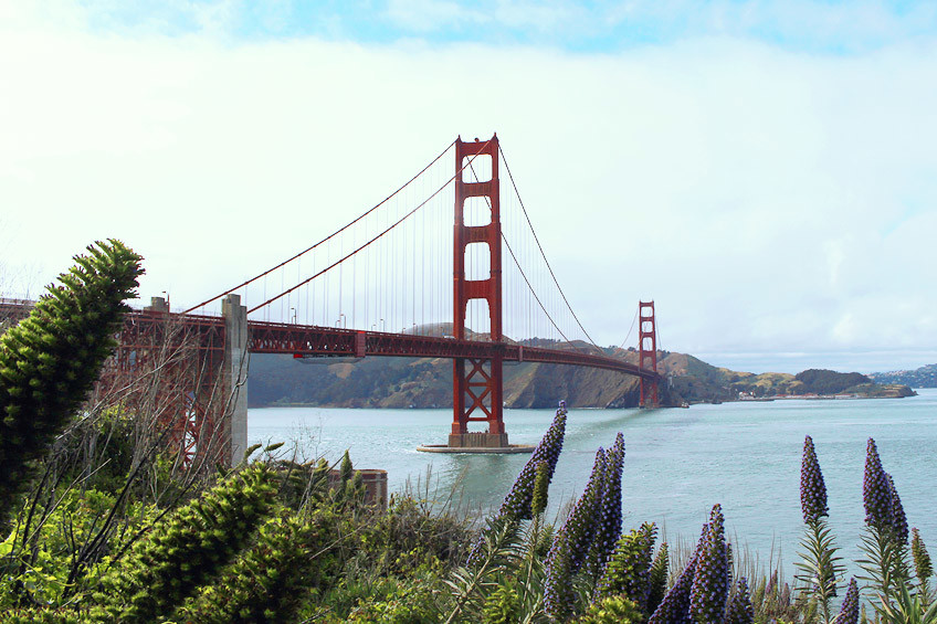 USA : Que faire à San Francisco en 2 jours ? 