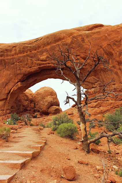 Road-trip USA : Arches National Park 
