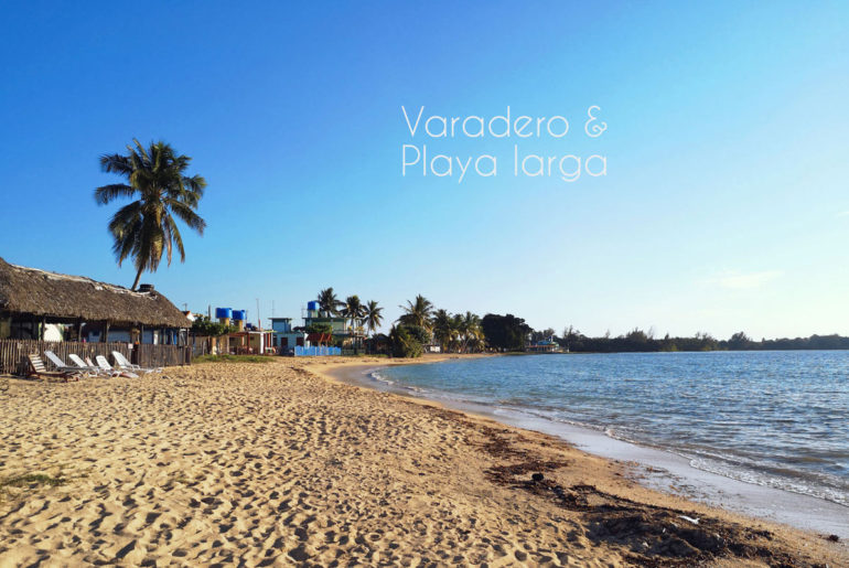 Premiers pas à Cuba : Varadero et Playa Larga  Premiers pas à Cuba : Varadero et Playa Larga