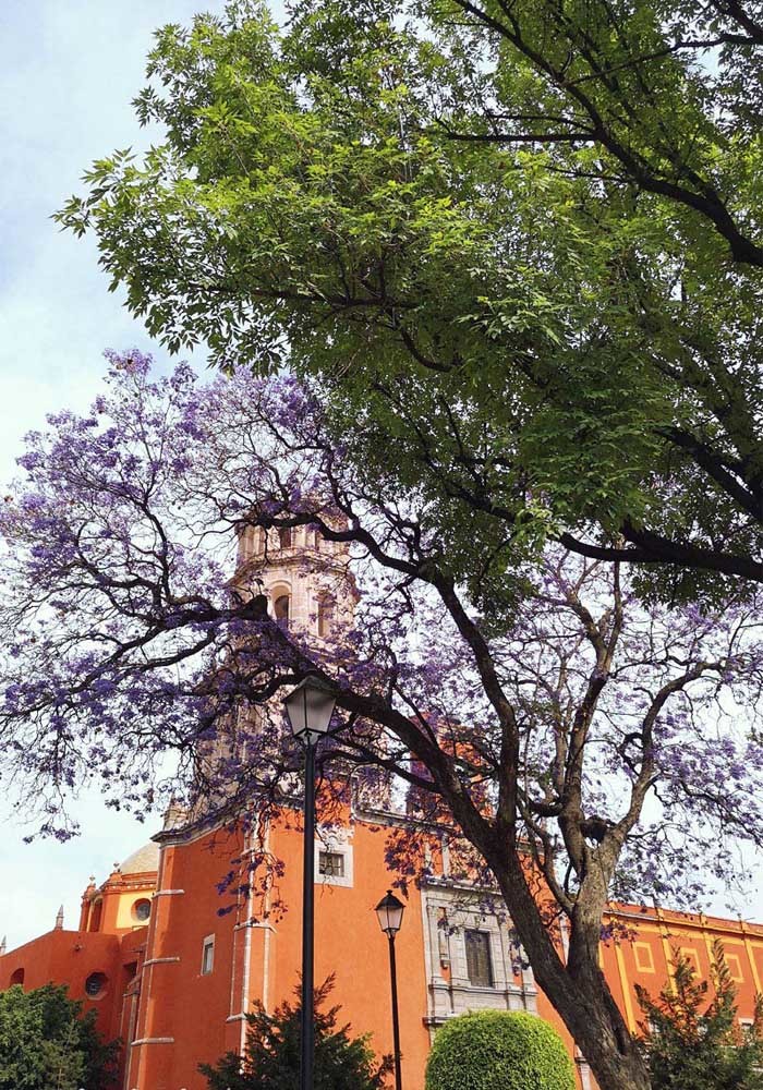 3 villes à visiter au Mexique : San Miguel de Allende, Guanajuato et Querétaro 