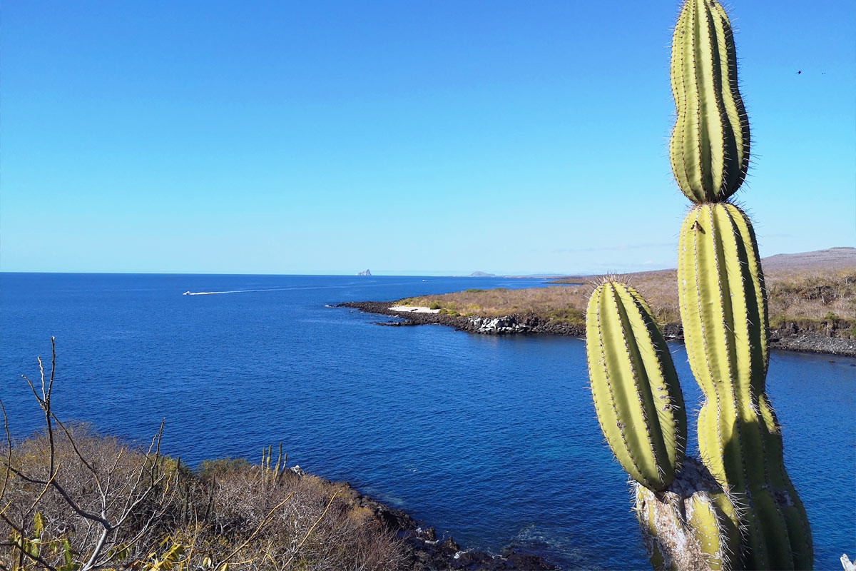 Les îles Galapagos pas cher : le guide complet 