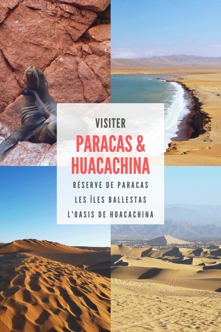 La réserve de Paracas et les dunes de Huacachina 
