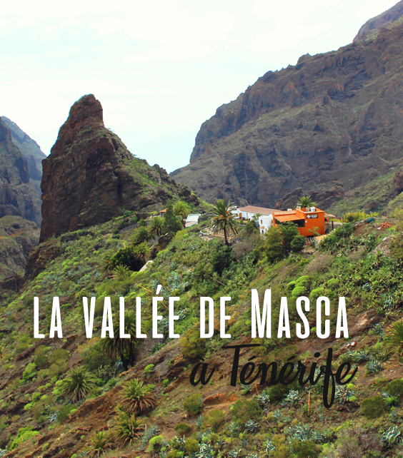 Découvrir la vallée de Masca à Ténérife 