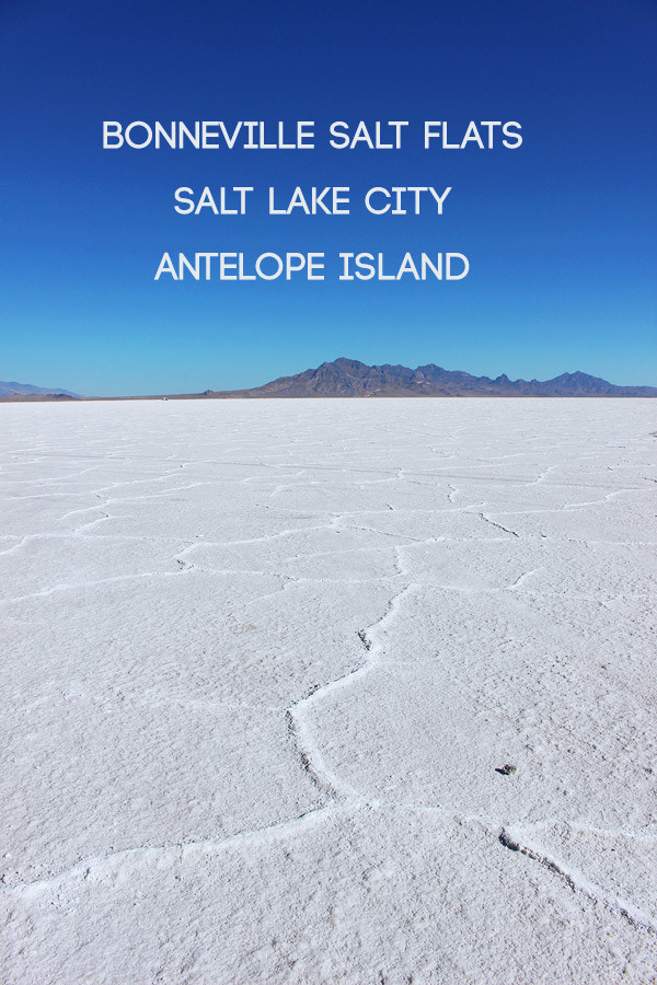 Visiter Salt Lake City et ses environs : Bonneville Salt Flats & Antelope Island 