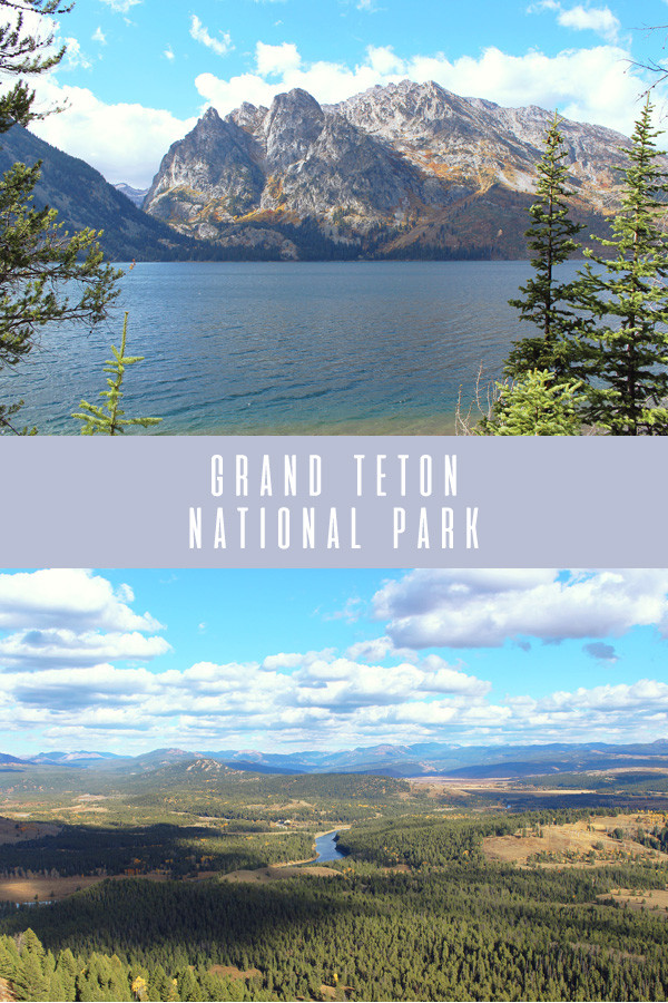 USA : 2 jours à Grand Teton National Park & Jackson Hole 