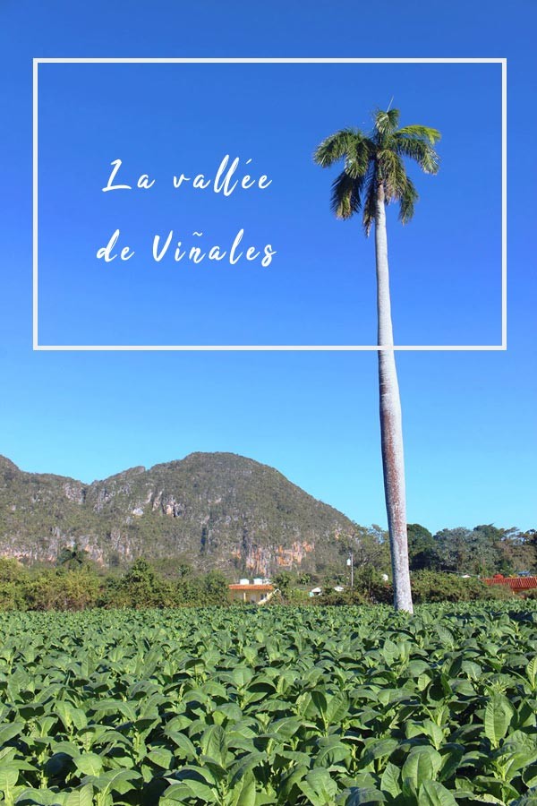 Cuba : 3 jours au calme dans la vallée de Viñales 