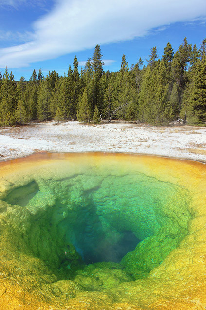 Guide Yellowstone #3 : Secteur Grand Prismatic Spring et Old Faithful 