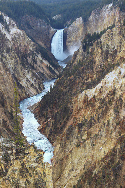 Guide Yellowstone #2 : Secteur Grand Canyon of the Yellowstone et Yellowstone Lake 
