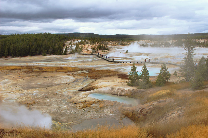 Guide Yellowstone #1 : Secteur Norris, Mammoth Hot Springs et Lamar Valley 